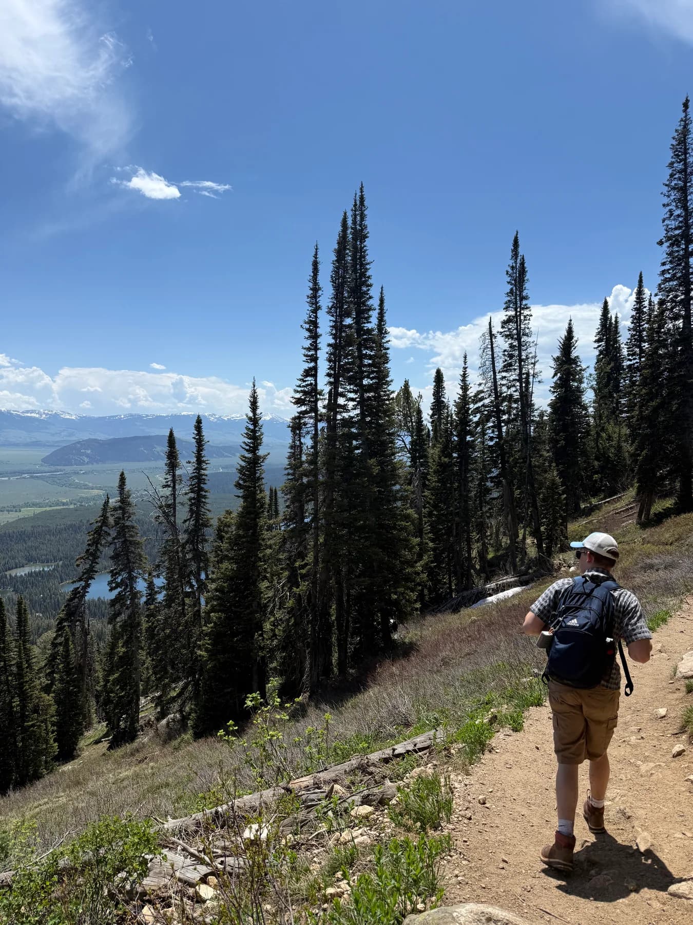 Hiker on a trail in Grand Teton overlooking a forested valley